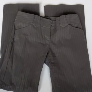Express Pants